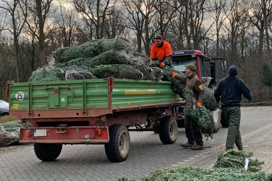 Weihnachtsbaumaktion als Dankeschön