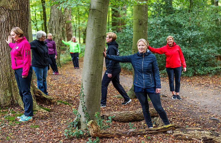 Rückkehr von Long Covid ins Leben mit Waldbaden in der Natur