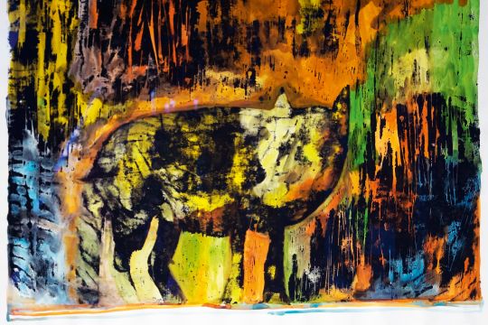Ausstellung „Herz & Psyche – (Un)sichtbare Krankheitsbilder sichtbar machen.“